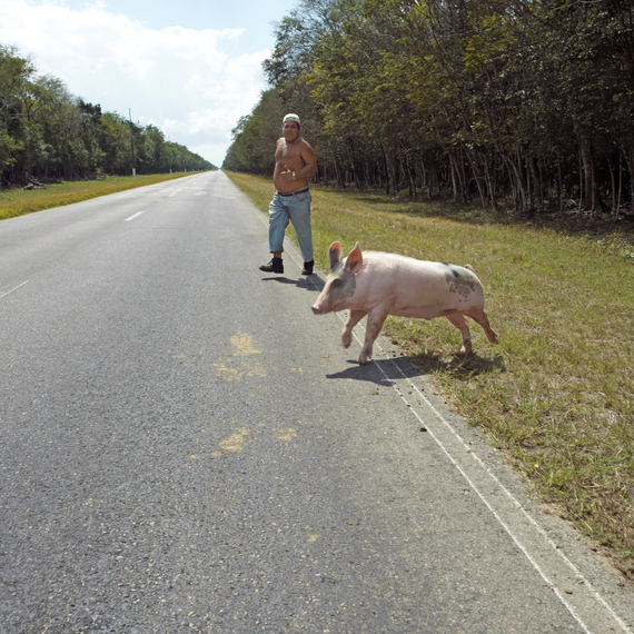 2013-04-03-Nance_Cuba_0397.jpg