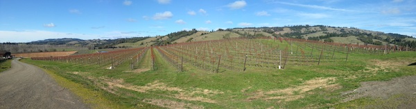 2013-04-08-californiavineyardpanoramic.jpg