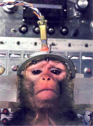 2013-04-22-1970smonkey-NewPicture9.bmp