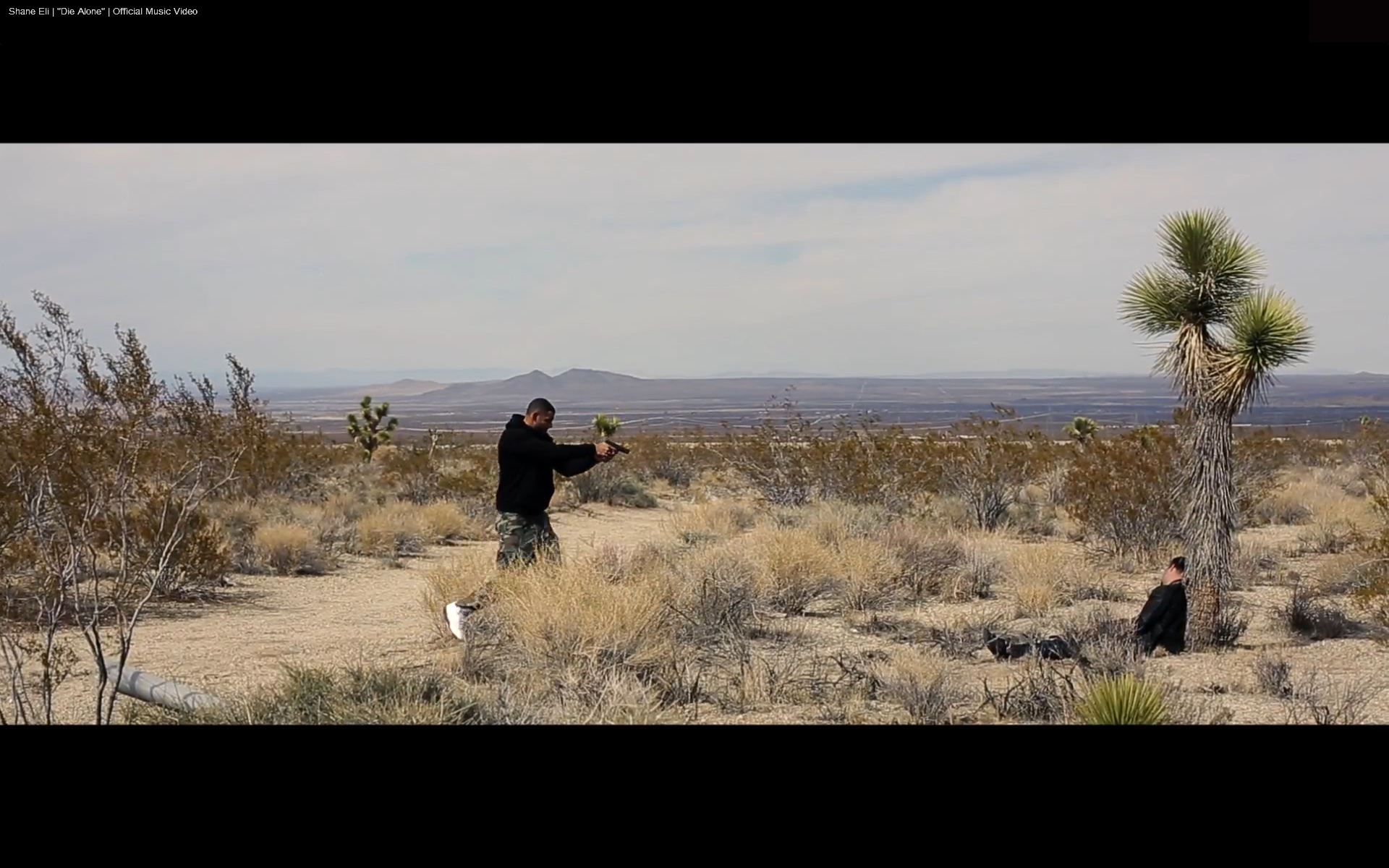 2013-04-22-diealonedesert.jpg