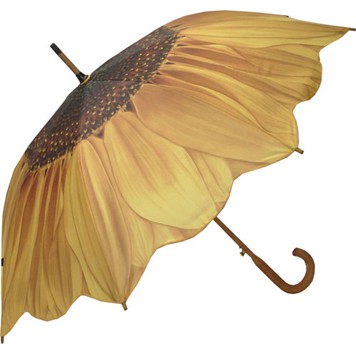2013-04-23-sunflowerumbrella.jpg