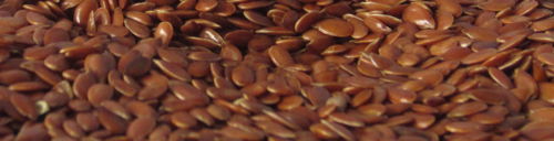 2013-04-25-flax.JPG