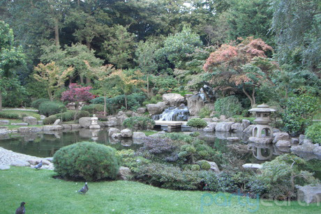 2013-04-29-hollandpark_huffpost.jpeg