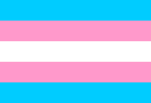 2013-05-01-TransgenderPrideFlag_300pxls.jpg