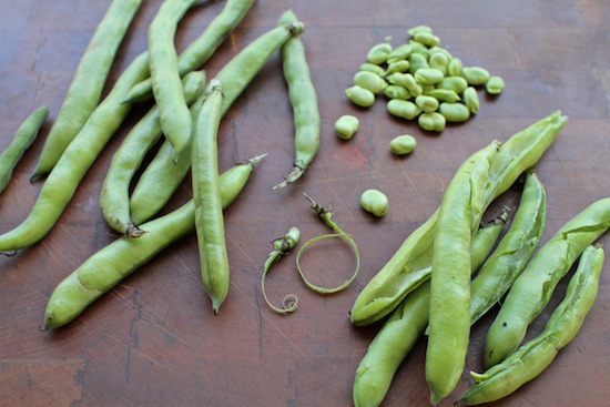 2013-05-10-FavaBeans.jpg