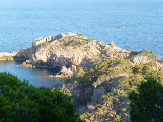 2013-05-11-Tamariu.JPG