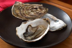 2013-05-16-OYSTERS_original.jpg