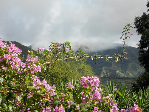 2013-05-20-movetoEcuador.jpg