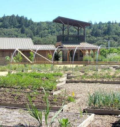 2013-05-23-garden2.JPG