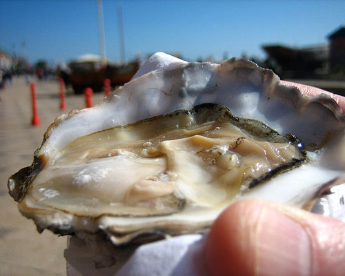 2013-06-03-oyster.jpg