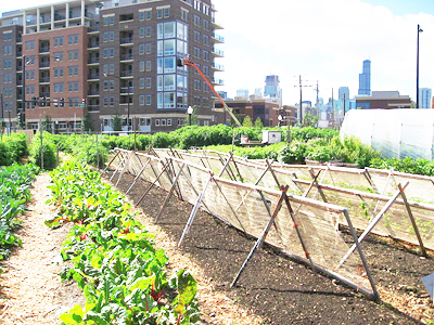 2013-06-03-urbanfarm.jpg