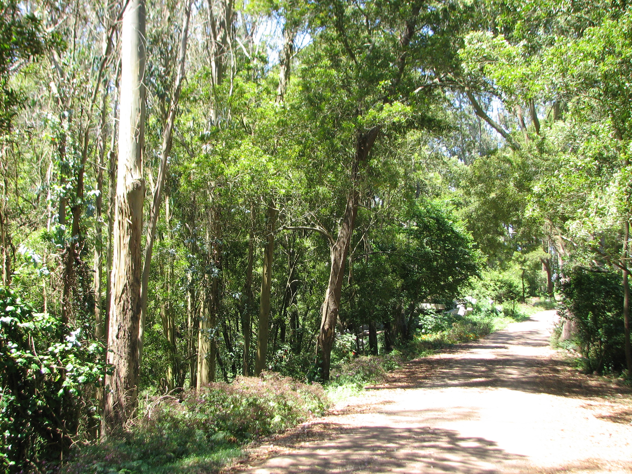 2013-06-05-sutro.jpg