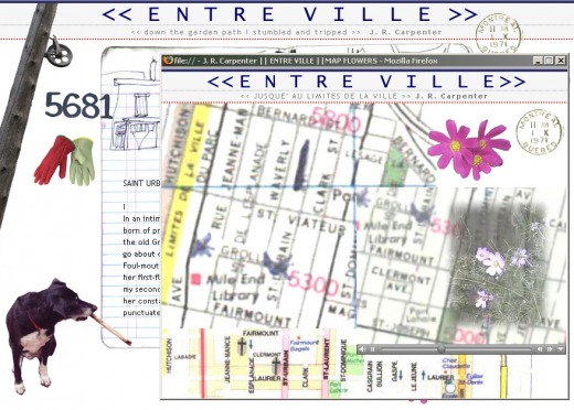 2013-06-09-entreville_mapflowers.jpg