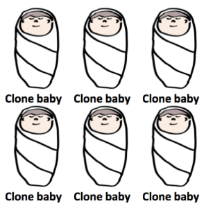 2013-06-11-Clonebaby.png