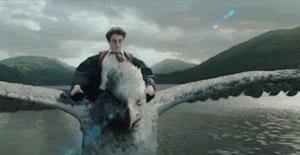 2013-06-13-harry.gif