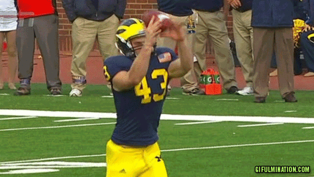 2013-06-13-rugby.gif