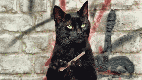 2013-06-13-unas.gif
