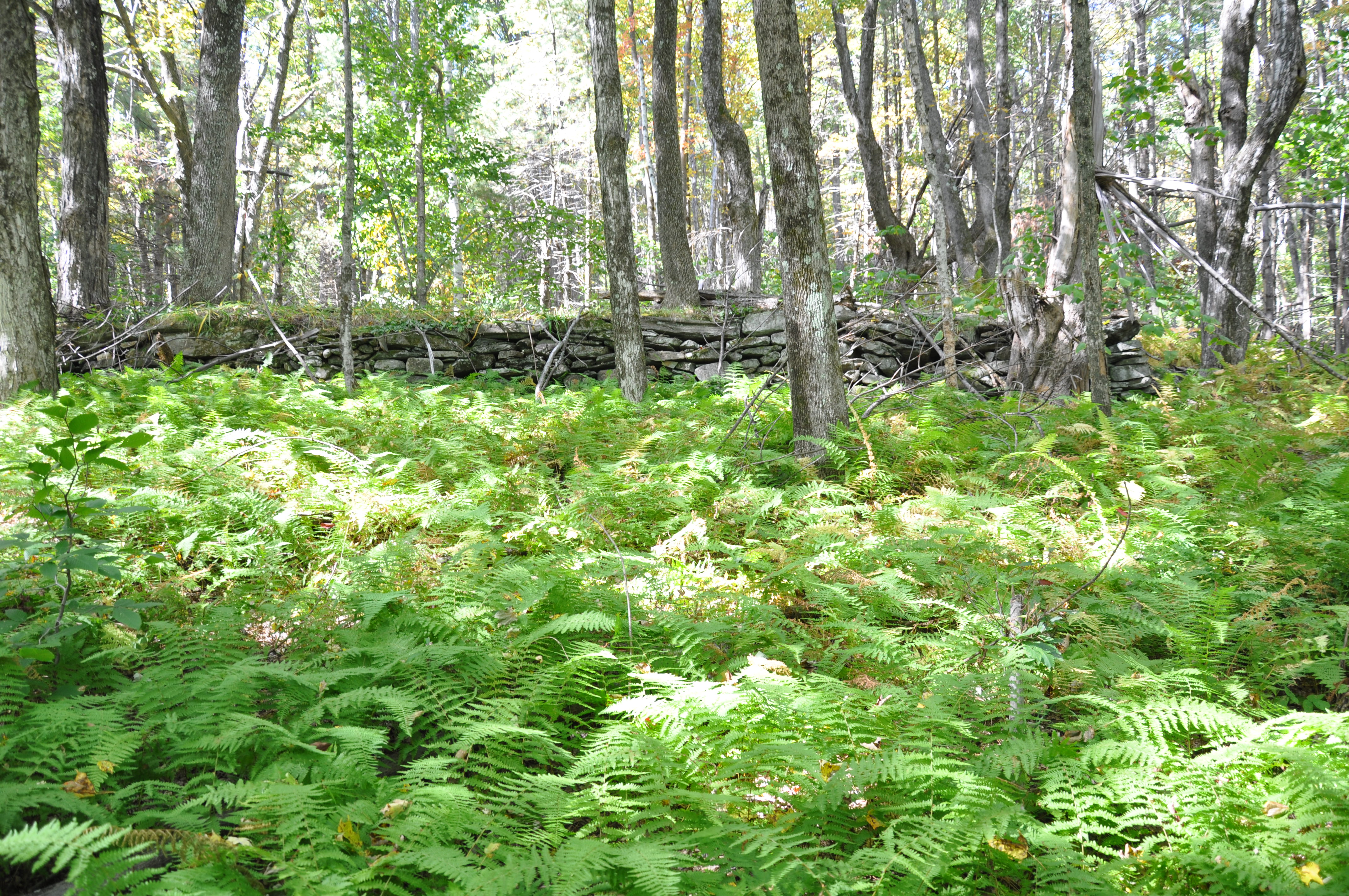 2013-06-14-ElishaOtisbirthplace.Halifax.VT.JPG