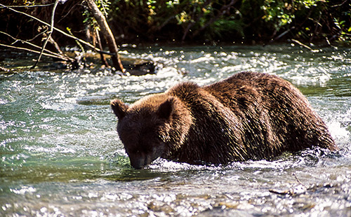 2013-06-17-CrystalCreekLodge.018.haggerty.jpg