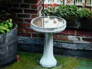 2013-06-19-Birdbath.jpg