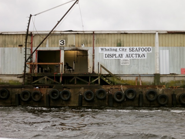 2013-06-19-WhalingCitySeafoodDisplayAuctionHouseNewBedfordMA.jpg