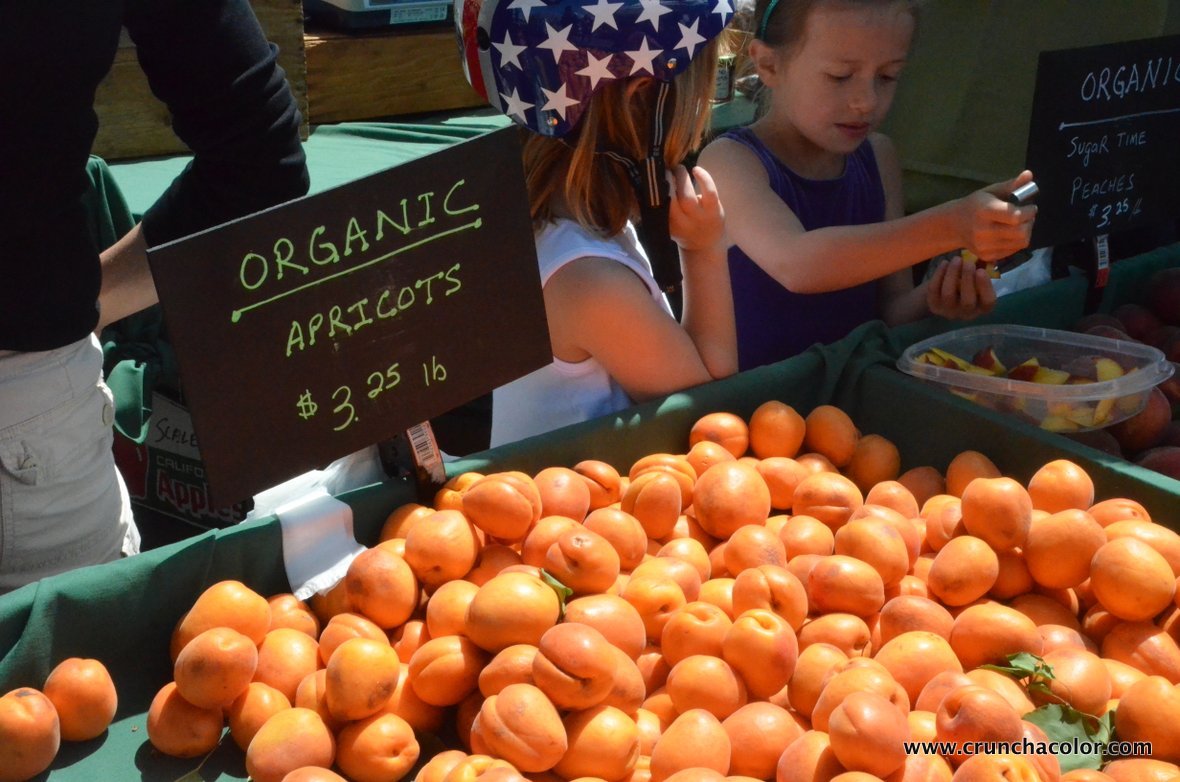 2013-06-19-healthyeatingforkidsfarmersmarketscrunchacolor.JPG