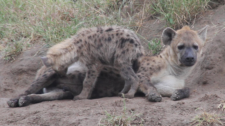 2013-06-23-SouthAfrica.jpg