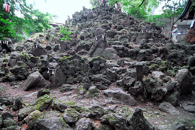 2013-07-01-shimoyasakamotofuji.jpg