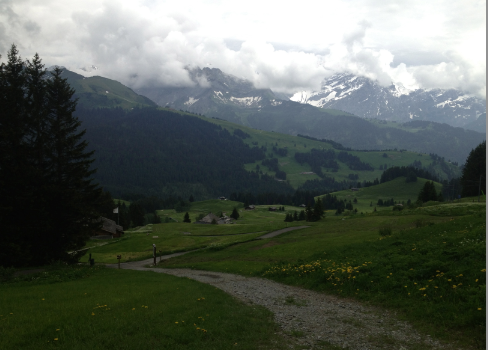 2013-07-02-switzerlandPM.png