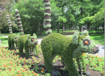 2013-07-10-BotanicalGardens6.15.28PM.png