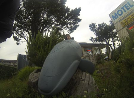 2013-07-11-PLASTICWHALE.jpg