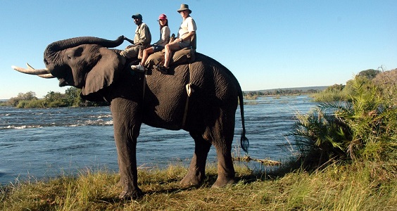 2013-07-17-ElephantBackSafarisAtVictoriaFalls_Resize.jpg