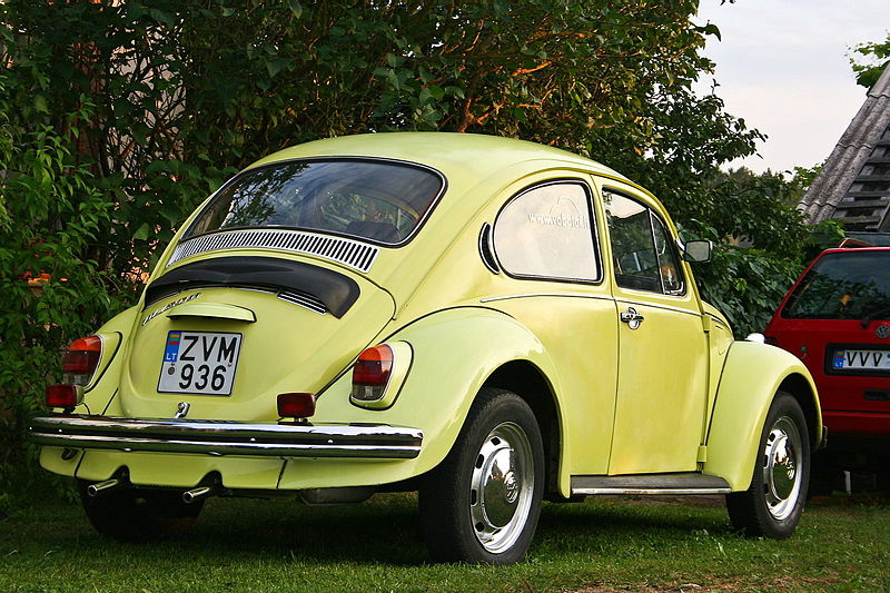 2013-07-24-800pxBeetle_1300.jpg