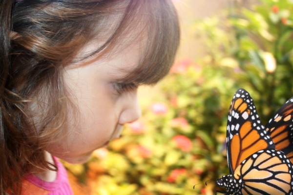 2013-07-24-Insect_ButterflyGarden_AudubonNatureInstitute.jpg