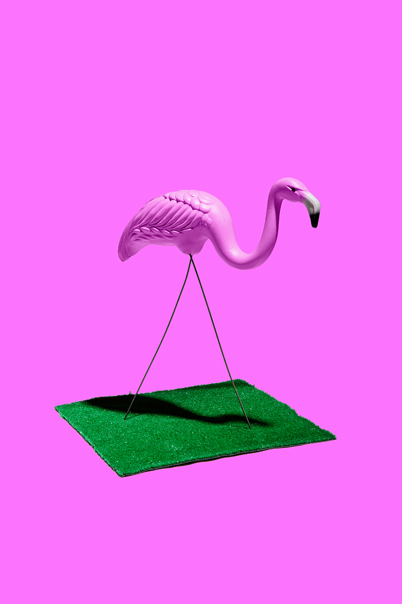 2013-07-24-flamingo.jpg