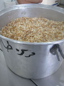 2013-07-27-RiceHuffSmall.jpg