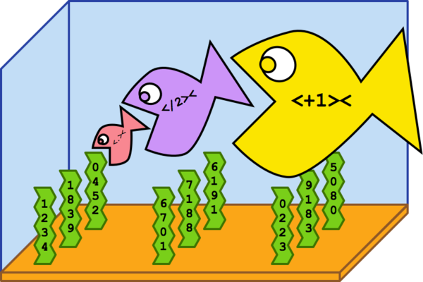 2013-07-28-fish1.png