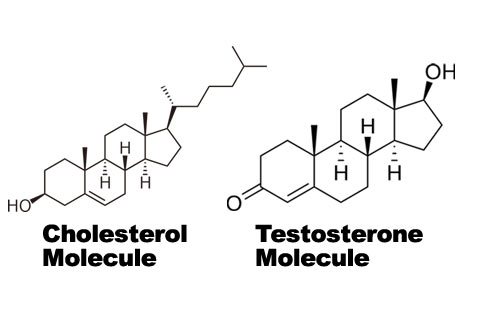 2013-08-08-Molecules.jpg