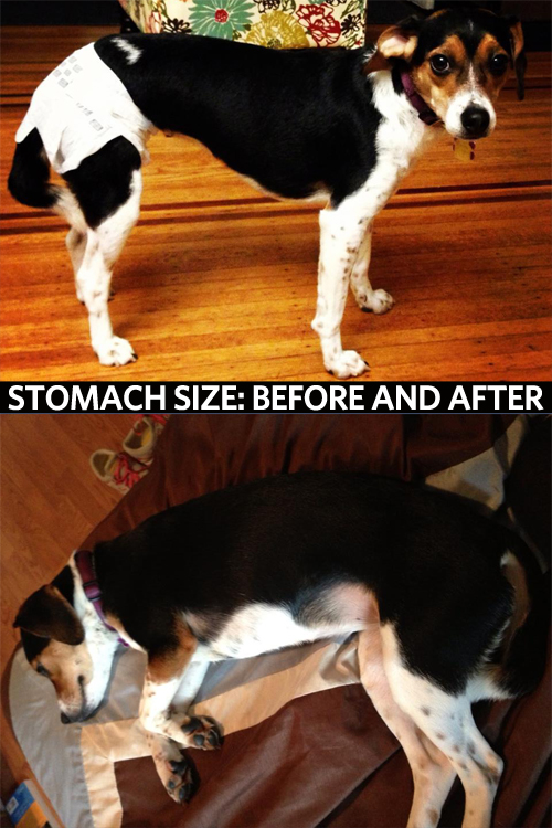 2013-08-10-stomachbeforeandafter.jpg