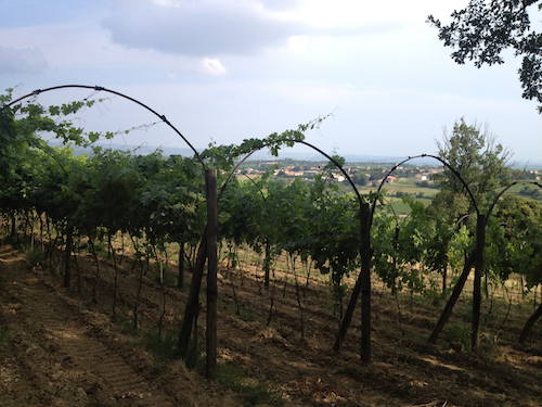 2013-08-15-VillaDonDonaHP1.jpg