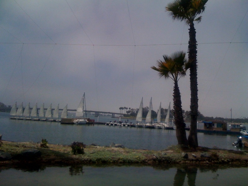 2013-08-24-BarefootBarGrillmarina.JPG