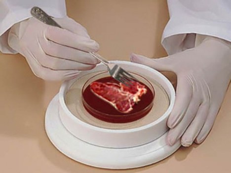 2013-08-25-EleniAntoniadouInvitromeat.jpg