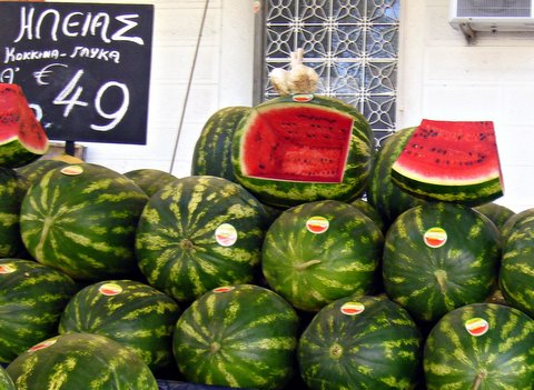 2013-08-28-Watermelon.jpg