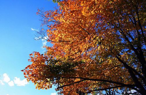 2013-08-30-AutumninConnecticut.jpg