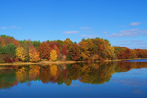 2013-08-30-Mainefallfoliage.jpg