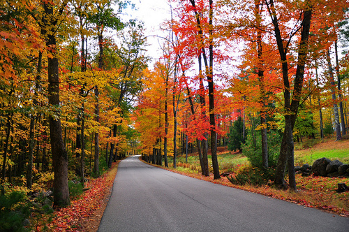 2013-08-30-NewHampshirefallfoliage.jpg