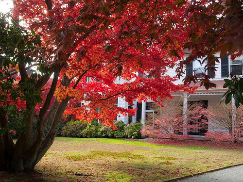 2013-08-30-Newportfall.jpg