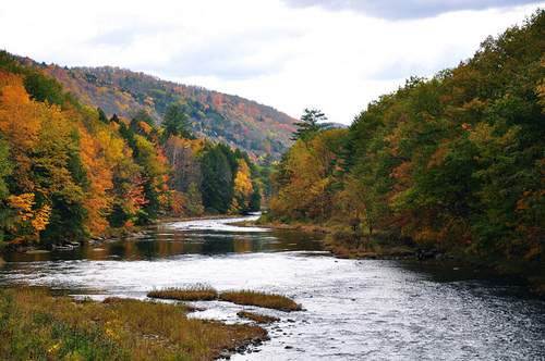 2013-08-30-Vermontfallfoliage.jpg