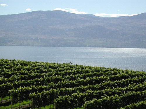 2013-09-05-OkanaganValley.jpg