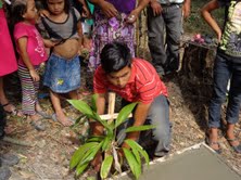 2013-09-09-RBplantingafloweratTomasgrave.jpg